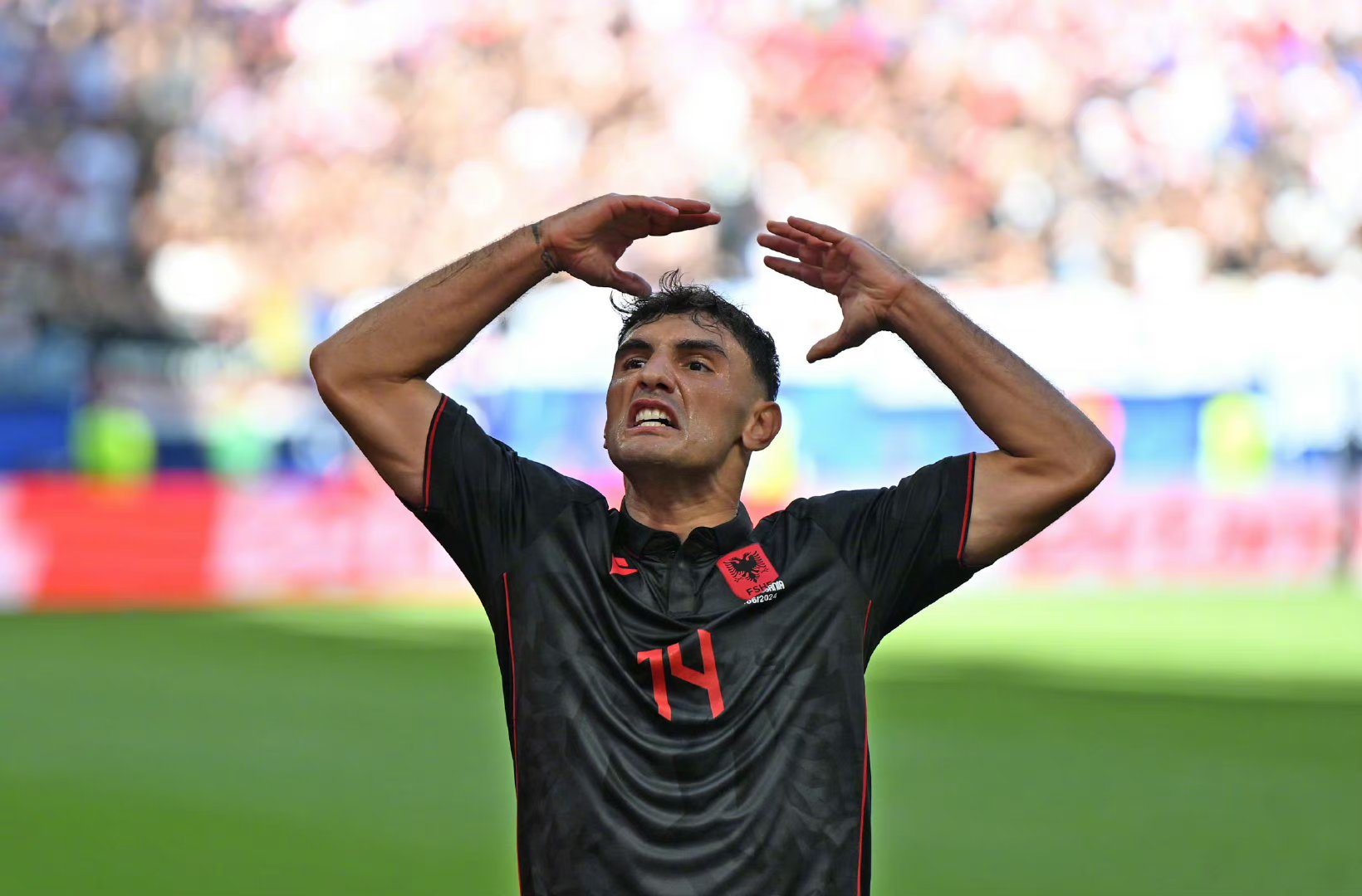 开云体育视频直播-包含阿尔巴尼亚队在欧预赛中成为焦点，表现抢眼的词条