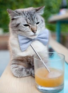 赛道上的交响诗,戈麦斯如何以完美节奏征服F1街道赛之夜